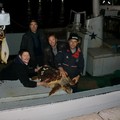 Centro di Recupero Tartarughe Marine, il peschereccio  "Eccelsa " salva un esemplare
