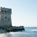 La Regione Puglia vuol  "tagliare " l'oasi faunistica di Torre Calderina