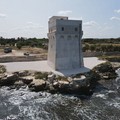 Cosa pensi di...? Il sondaggio di MolfettaViva su Torre Calderina