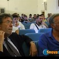 Molfetta Calcio, esclusa la partecipazione del notaio D'Alesio