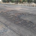Degrado nella zona industriale di Molfetta: lanciata la petizione online