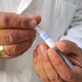 I vaccini diventano obbligatori. Ma nell'Asl Ba crollano