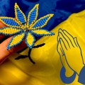 Guerra in Ucraina, stasera veglia di preghiera a Molfetta e nel resto della diocesi