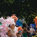 Molfetta saluta il Carnevale e si prepara alla Quaresima: il programma