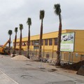 Via Giovinazzo oggetto di lavori. Ultimati, sarà più sicura e più decorosa