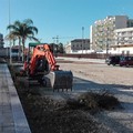 Aperto il cantiere per il rifacimento di Via Vecchia Madonna della Rosa a Molfetta