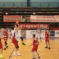 Per la Virtus Basket Molfetta big match in casa contro il Mola