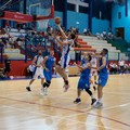 Dai Optical Virtus Molfetta a caccia dell'impresa contro la Pallacanestro Messina