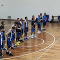 La Dai Optical Virtus Molfetta ko in casa della Dinamo Basket Brindisi
