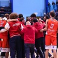 Derby di basket, Pallacanestro Molfetta: «Partita condotta per tutti i quaranta minuti»