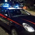 Aziende nel mirino dei ladri, due colpi in una notte a Molfetta