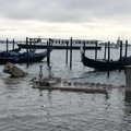 Venezia in ginocchio, il racconto di una studentessa di Molfetta