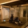 Parcheggi innovativi per le moto lungo le strade di Molfetta?