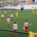 Borgorosso Molfetta corsaro sul campo del Don Uva Calcio