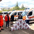 Coronavirus, la Curva Nord del Bari dona beni alimentari al Ser Molfetta