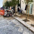 Proseguono i lavori del piano strade a Molfetta