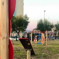 A Molfetta riapre il dog park nel rispetto delle regole anti-Covid