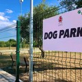 La Giunta comunale approva le regole per l'accesso al dog park di Molfetta