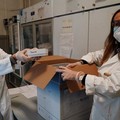 Vaccini: la Puglia a quota 1,2 milioni di dosi impiegate. Oggi nuovo carico Pfizer