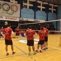 Pallavolo Molfetta, Lorusso: «Campionato imprevedibile ma arriviamo pronti»