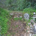 Evidenziate diverse criticità nel parco naturale di Lama Martina: la segnalazione