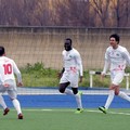 Molfetta Calcio attesa oggi dalla capolista Taranto