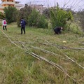 Ambiente, anche Molfetta impegnata nella giornata nazionale per la raccolta plastica