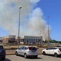 Incendio nei pressi della zona industriale di Molfetta. Sul posto i vigili del fuoco