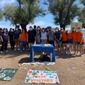 Giornata mondiale delle tartarughe, i ragazzi delle comunità puliscono la Prima cala