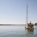 Monitoraggio delle acque, l'Arpa: «Qualità eccellente in Puglia»