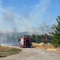 Incendio nella campagna di Molfetta in zona SS16 bis