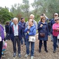 Alla scoperta degli olivi di Lama Martina: una camminata nel verde