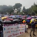 Basta guerra: Molfetta si ritrova per marciare a favore della pace