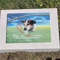 Rufus per sempre nella storia di Molfetta. Scoperta la targa