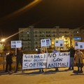 Il Comitato  "No al circo con animali a Molfetta " a muso duro: «Basta»