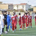 Turno di riposo in Eccellenza. Il Borgorosso Molfetta in campo domenica prossima