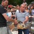 Per la Giornata mondiale degli Oceani liberate a Molfetta tre Caretta Caretta