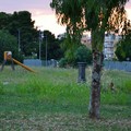 Rione Paradiso, la lettera di un residente: «Che ne sarà del parco mai inaugurato qui?»