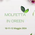 Con Molfetta in Green il centro storico diventa una mostra-mercato del verde