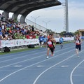 Grinta, medaglie e sorrisi per i campionati italiani FISDIR a Molfetta