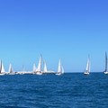  "Le Rotte del Mediterraneo ": una settimana di sport, cultura marinara ed educazione ambientale