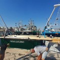 Sagra a Mare, al via l’allestimento delle tre barche della Madonna dei Martiri - FOTO