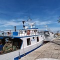 Comparto pesca, a Molfetta cresce la preoccupazione a pochi giorni dalla ripresa dell’attività