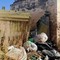 Degrado e abbandono in strada vicinale Fondo Favale: la denuncia di un cittadino