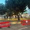La piazzetta di via Mameli transennata per la presenza di alberi pericolosi