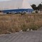 Sterpaglie e rifiuti alla rotatoria di via Bettino Craxi: la segnalazione di un molfettese