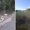 Erba alta e rifiuti davanti all'isola ecologica di Ponente: la segnalazione di un cittadino