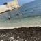 Prima Cala, i cittadini chiedono interventi per sicurezza e pulizia della spiaggia