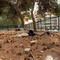 Stato di degrado al Parco di Ponente: la segnalazione
