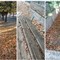 «Il Parco di Ponente è in stato di abbandono». La segnalazione